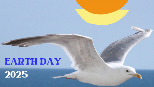 Happy Earth Day!!
