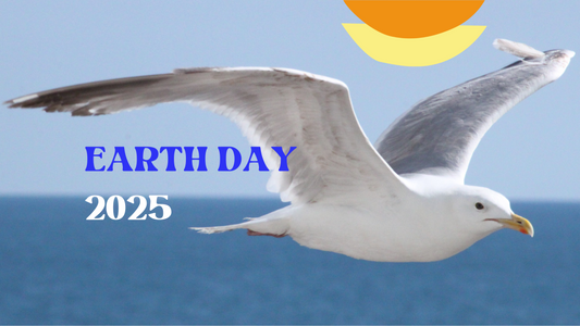 Happy Earth Day!!