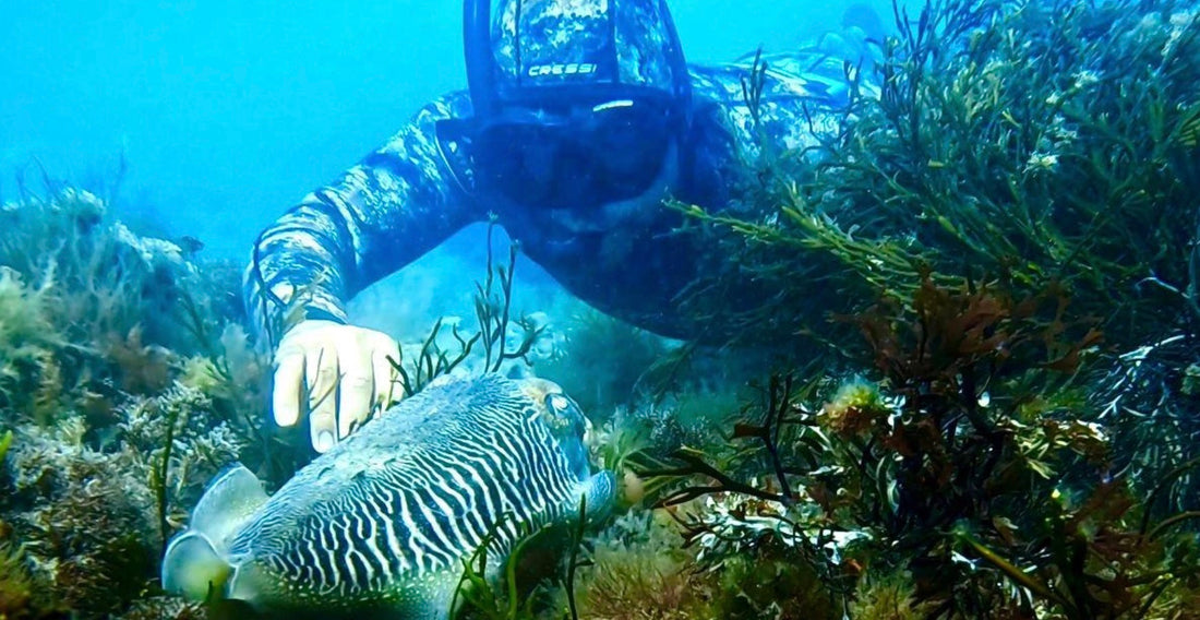 The Sussex Sea Story: How Locals Are Rescuing Our Sea