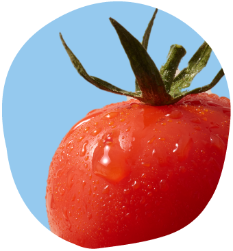 My Skin Feels rescued Tomato ketchup waste on a blue background 
